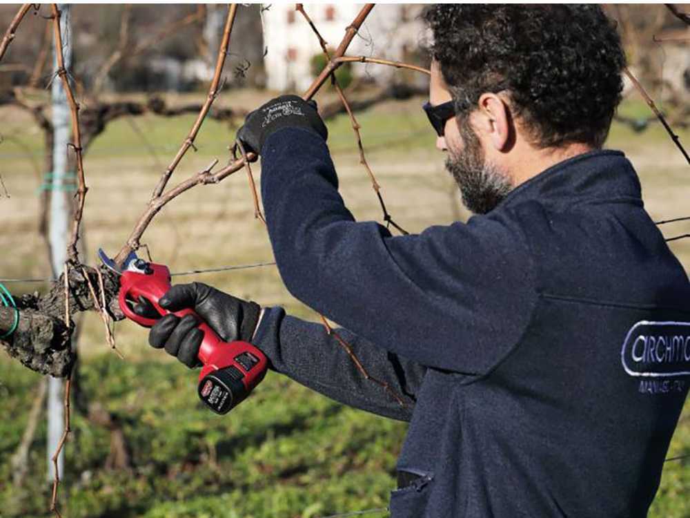 Archman FE03-35 Battery-powered Pruning Shears , best deal on AgriEuro