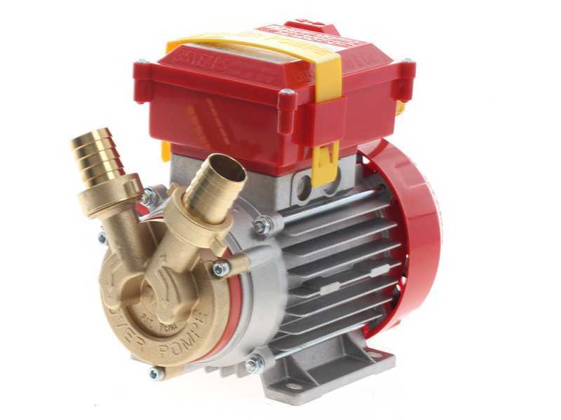 Rover 25 CE - Bronze electric transfer pump