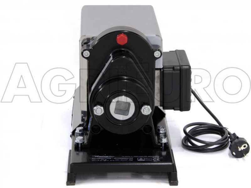 https://www.agrieuro.co.uk/share/media/images/products/insertions-h-normal/10936/reber-n-5-electric-tomato-press-500-w-heavy-duty-induction-motor-passata-machine-motor-and-transmission-machine-body--10936_1_1501581068_IMG_2351.jpg