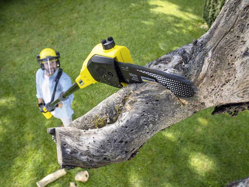 Karcher PSW 18-20 -18V cordless pruner with telescopic pole