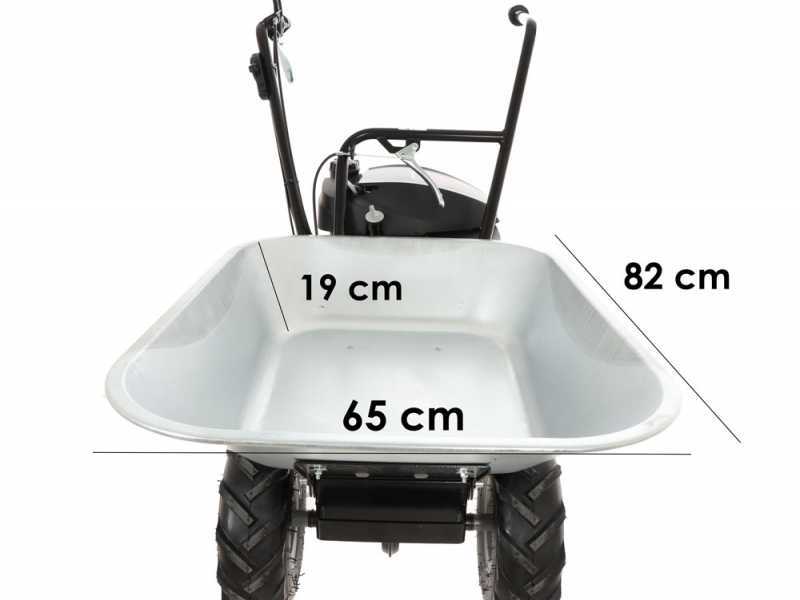 Eurosystems Carry Self-propelled Power Wheelbarrow with Honda GCVx 170 Engine