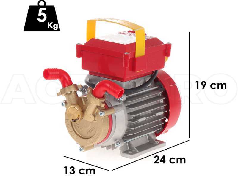 Rover 20 By-Pass - Bronze Electric Transfer Pump