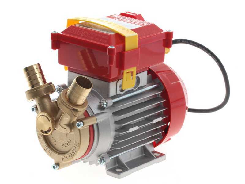 Rover 25 By-Pass - Bronze Electric Transfer Pump