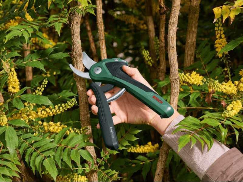 Bosch EasyPrune AssistCut - Electric Pruning Shears - 3.6V 1.6Ah