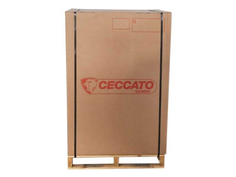 Ceccato Olindo SGTMONO - Electric log saw - Single-phase table saw