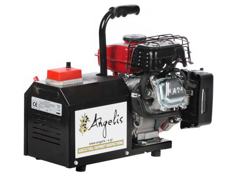 Agrieuro Premium Angelis - Portable Power Generator 12/22 V