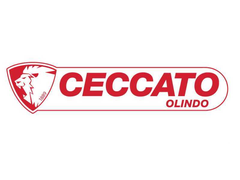 Ceccato olindo SPLE20 - Electric log splitter - Vertical - 400V