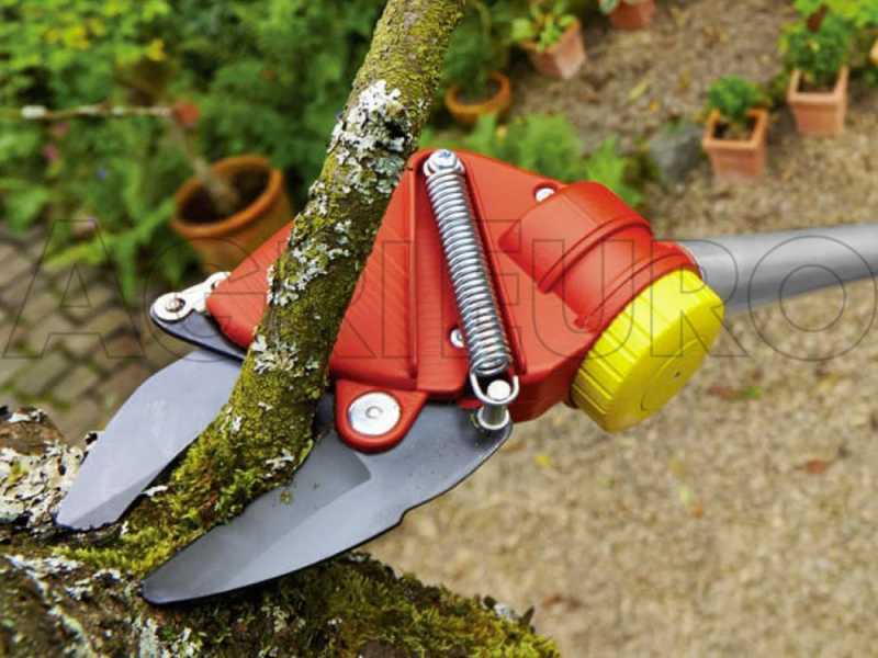 WOLF Garten RR 400 T - Professional Pruning Shears on Telescopic Pole, 220/400cm Pole - &Oslash; 32 mm