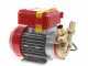 Rover 25 CE - Bronze electric transfer pump