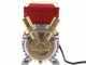 Rover 25 CE - Bronze electric transfer pump