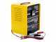 Deca CLASS 12A Car Battery Charger - single-phase power supply - 12-24V batteries