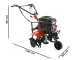 Benassi BL 6000C - 7 HP Petrol Garden Tiller - Hwasdan H170F Engine 