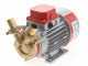 Rover Marina 25 - Bronze electric transfer pump - 12 V