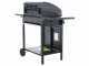 Royal Food GB 2120-B3 Gas Grill with Stainless Steel Grid - 50x40 Cooking Surface