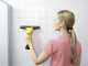 Karcher WV 2 Plus N Battery-Powered Electric Window Cleaner - Portable Vacuum