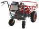 Geotech CAR 300T-T PLUS Electric Battery-powered Wheelbarrow - 40V Battery 6 Ah