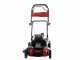 Marina Systems GX BIOMULCH 51SH Mulching Lawn Mower - Honda GCVx 170 Engine