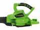 Greenworks GD48BV 48 V Battery-powered Leaf Blower - Garden Vacuum - with 4Ah battery