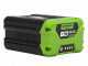 Greenworks GD60PS25 60 V Battery-powered Pruner on Extension Pole - 2Ah Battery