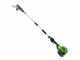 Greenworks GD60PS25 60 V Battery-powered Pruner on Extension Pole - 2Ah Battery