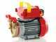 Rover 20 By-Pass - Bronze Electric Transfer Pump