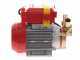 Rover 25 By-Pass - Bronze Electric Transfer Pump