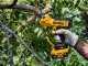 DeWalt DCMPP568N-XJ - Electric Pruning Shear - WITHOUT BATTERY AND BATTERY CHARGER