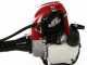 EuroMech GX25 - 4-Stroke Petrol Brush Cutter - Honda Engine