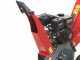 Blue Bird SHL 1000 - Petrol garden shredder - V200F 196 cc Loncin Engine