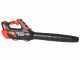 Blue Bird BL 22-300 - Battery-powered Leaf Blower - 21V 5Ah