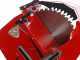 Ceccato Olindo SGTMONO - Electric log saw - Single-phase table saw