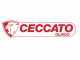 Ceccato olindo SPLET20 - Hybrid log splitter - Electric and tractor-driven - Vertical