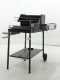 Cruccolini Ghiottone - Wood and charcoal barbecue