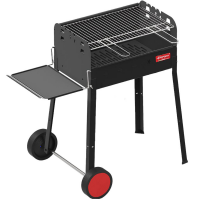 Grills and BBQs