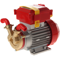 Rover 20 CE - Electric bronze transfer pump