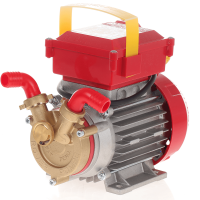 Rover 20 By-Pass - Bronze Electric Transfer Pump