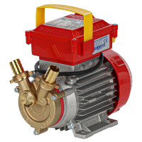 Rover 20 By-Pass - Bronze Electric Transfer Pump