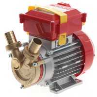 Rover 25 By-Pass - Bronze Electric Transfer Pump