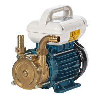 Tellarini EEM 20 - brass transfer pump