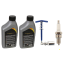 Replacement spark plug kit + 2 bottles of 1 L oil each